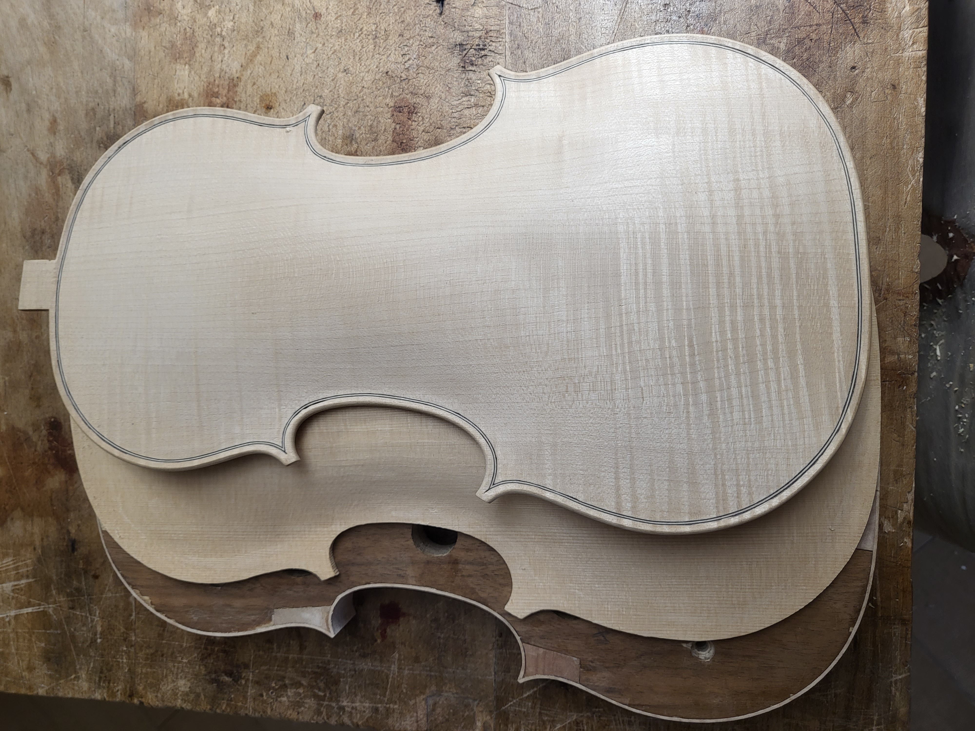 Photo de violons